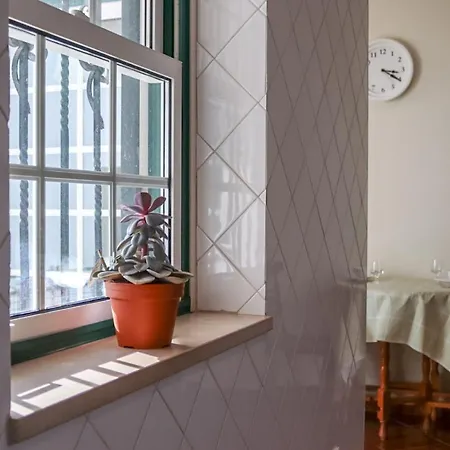Traditional Portuguese - Casa Martins No 52 Apartment