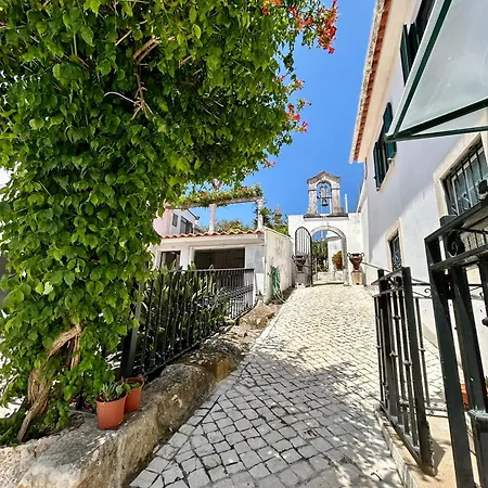 Traditional Portuguese - Casa Martins No 52 Apartment